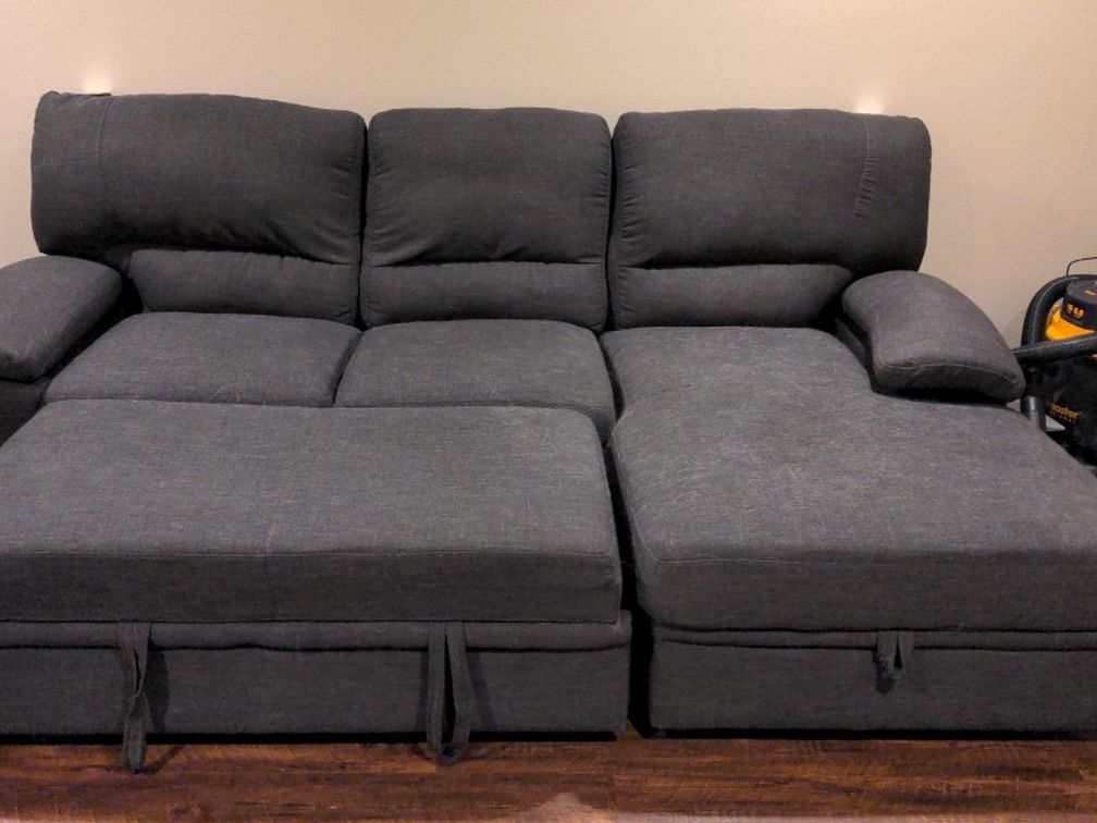*FREE* Couch W/Pullout And Storage