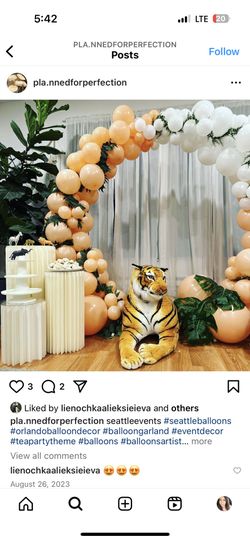Balloon Stand