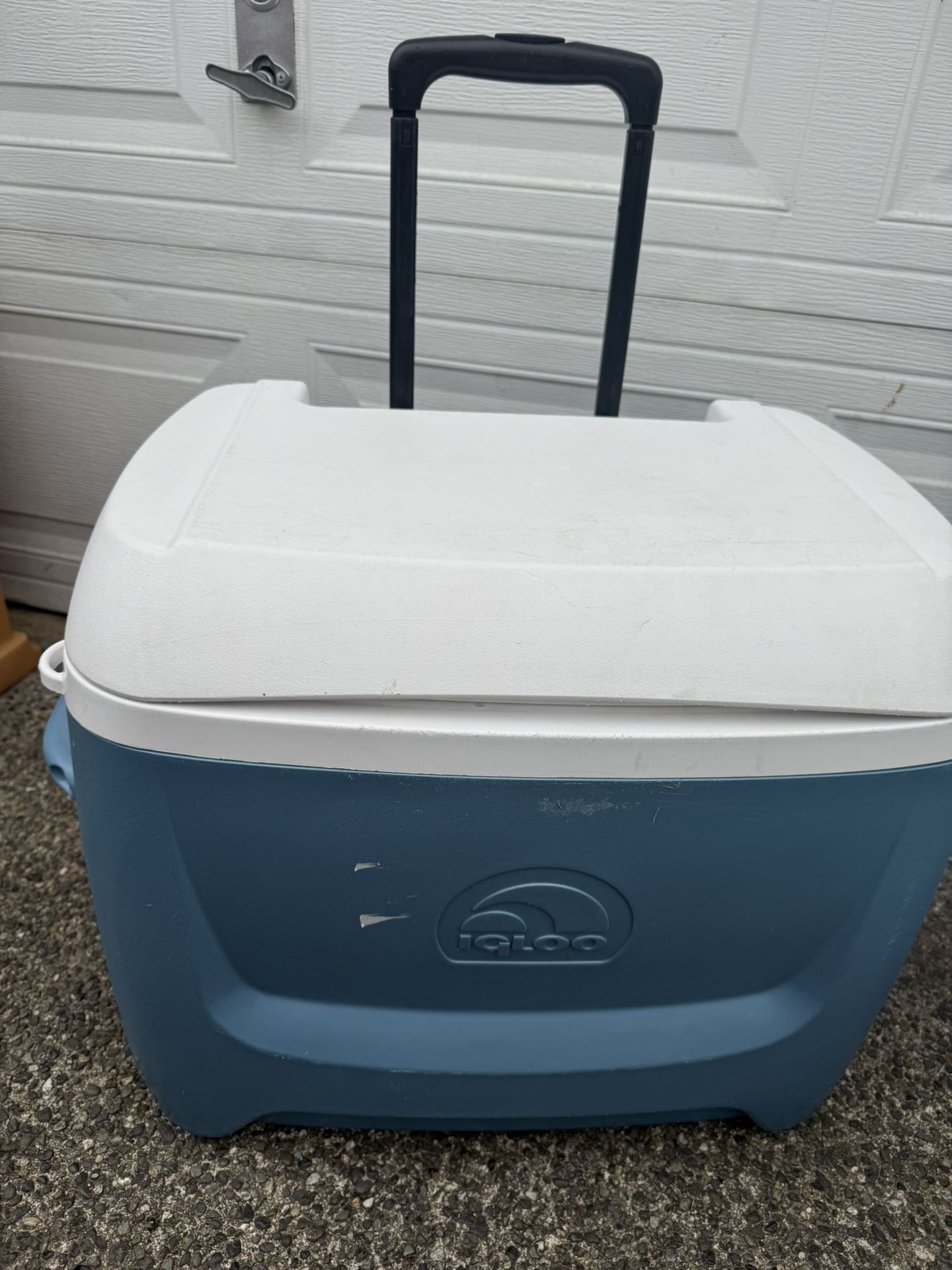 Large Cooler 