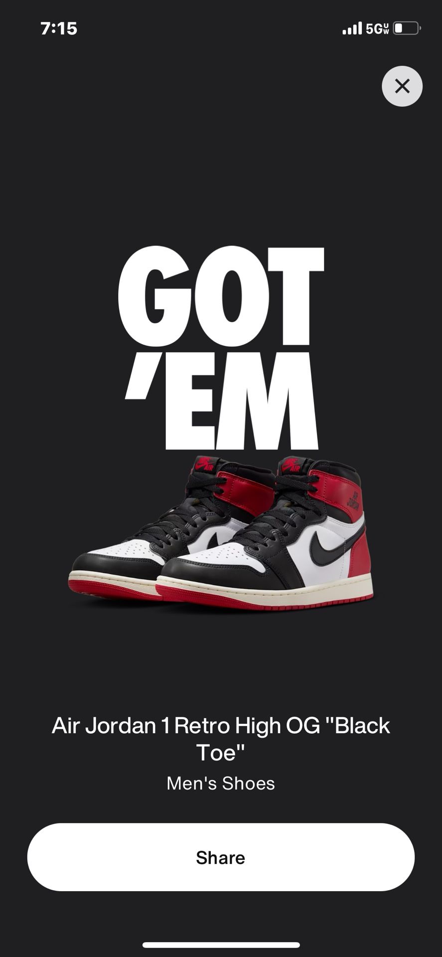 Air Jordan 1 Retro High 
