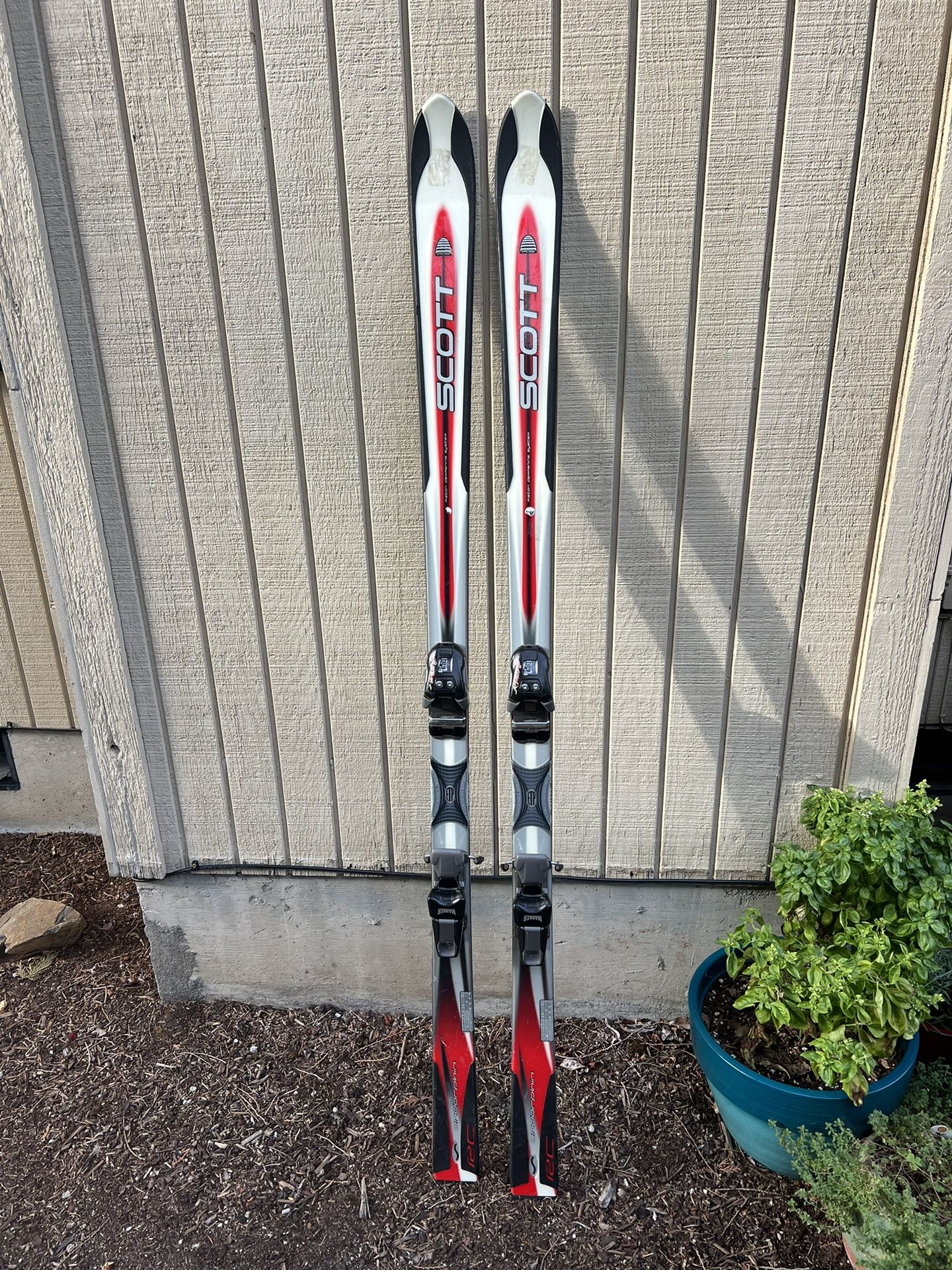 Scott Endorphin RC Downhill Skis - 175cm