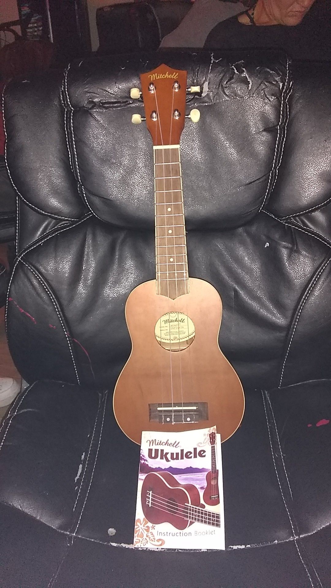 Mitchell ukulele (soprano)brand new