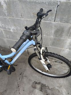 Roadmaster bike