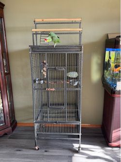 Birds cages