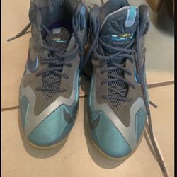Lebron 11s  Gamma Blue