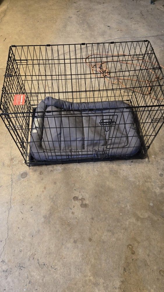 36" Medium Dog Crate w/ Worn KONG Bed - Foldable & Sturdy - Arlington