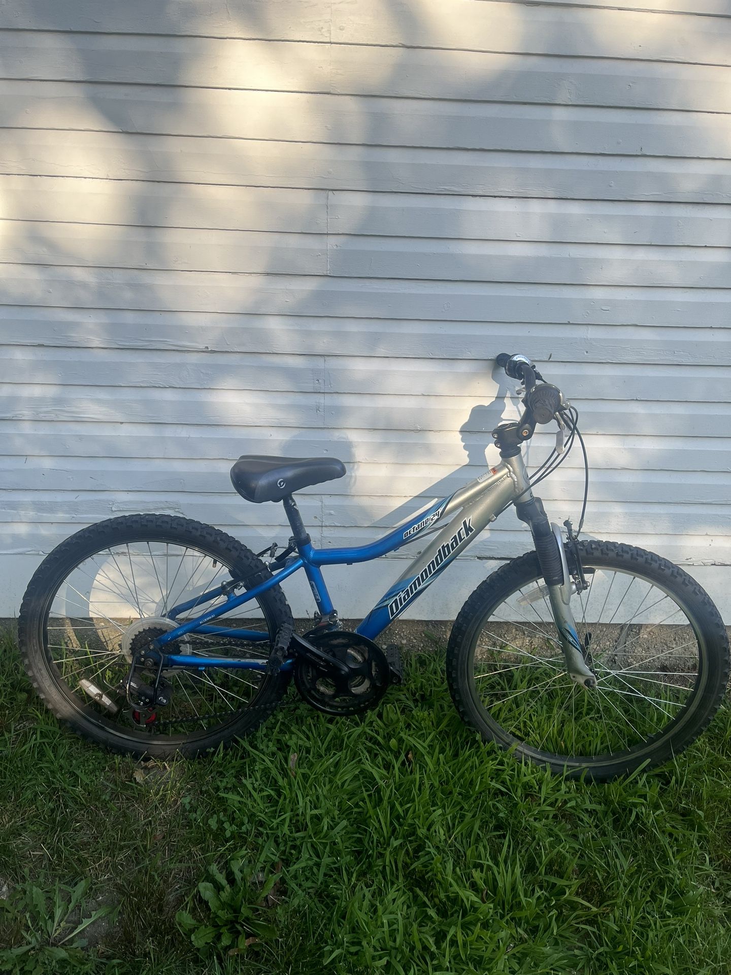 Diamondback Outlaw 24