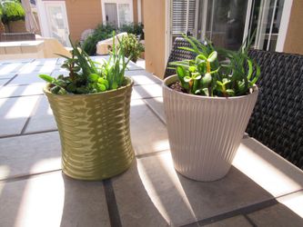 Set Of Avocado Green & Beige Garden Pots With Succulents