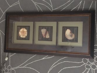 Beach Themed Framed Wall Art