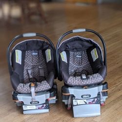 $12.00  Only One Left.