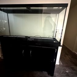 60 Gallon Fish Tank