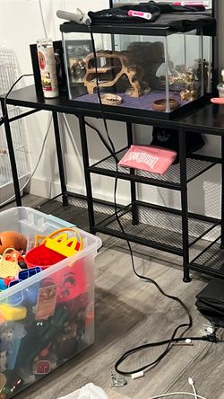 Entertainment center