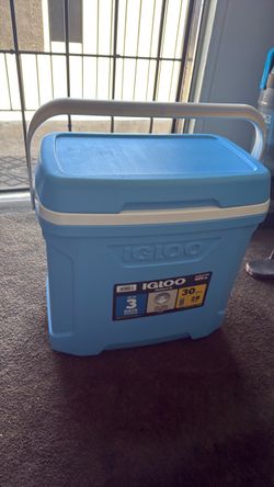 Igloo