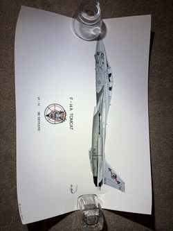 F-14 Tom Cat Print