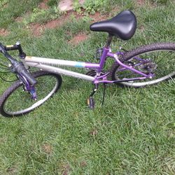 24in Ladies Magna Great Divide Bike.