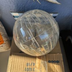 Hamster BALL