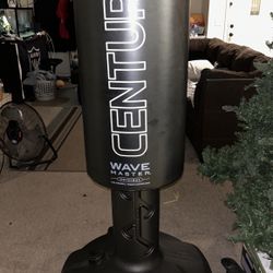 Free Standing Heavy bag 