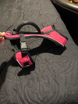 Dog harness