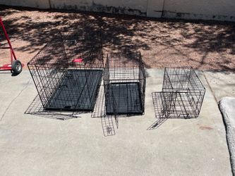 Dog Kennels