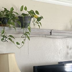 Hanging Shelves 