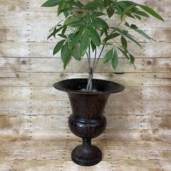 Large Rustic Urn Metal Plant Planter