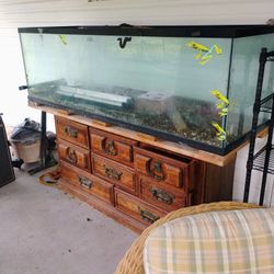 Free 125 Gallon Reptile Tank 