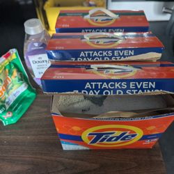 Tide Powder Laundry Detergent 