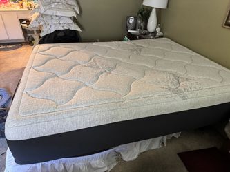 Queen Pro Hybrid Mattress