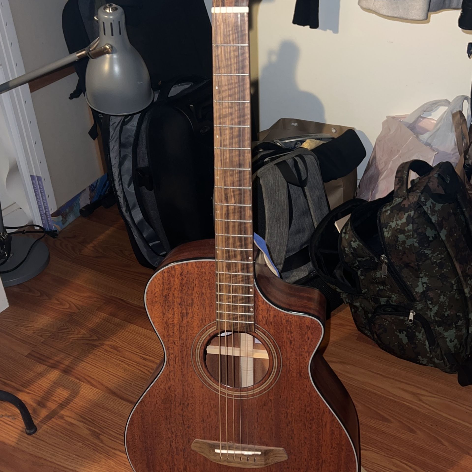Breedlove Electric Acoustic Steel String guitar