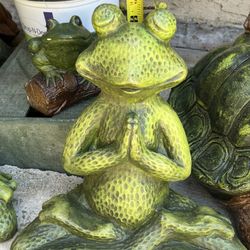 New Frogs 🐸