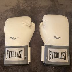 Everlast Boxing Gloves