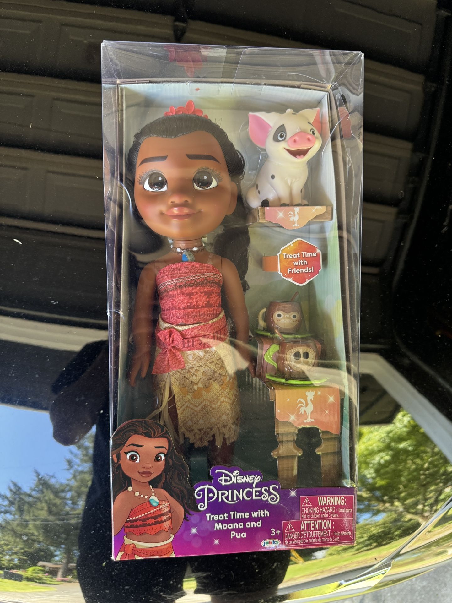 Moana Doll Set