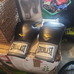 Everlast Boxing Gloves