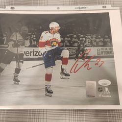 Carter Verhaeghe Signed 8x10 Florida Panthers