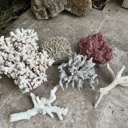 Natural Corals Aquarium Fish tank