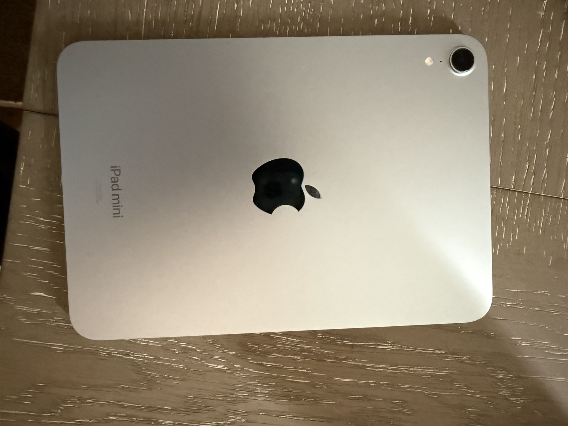 iPad Mini
