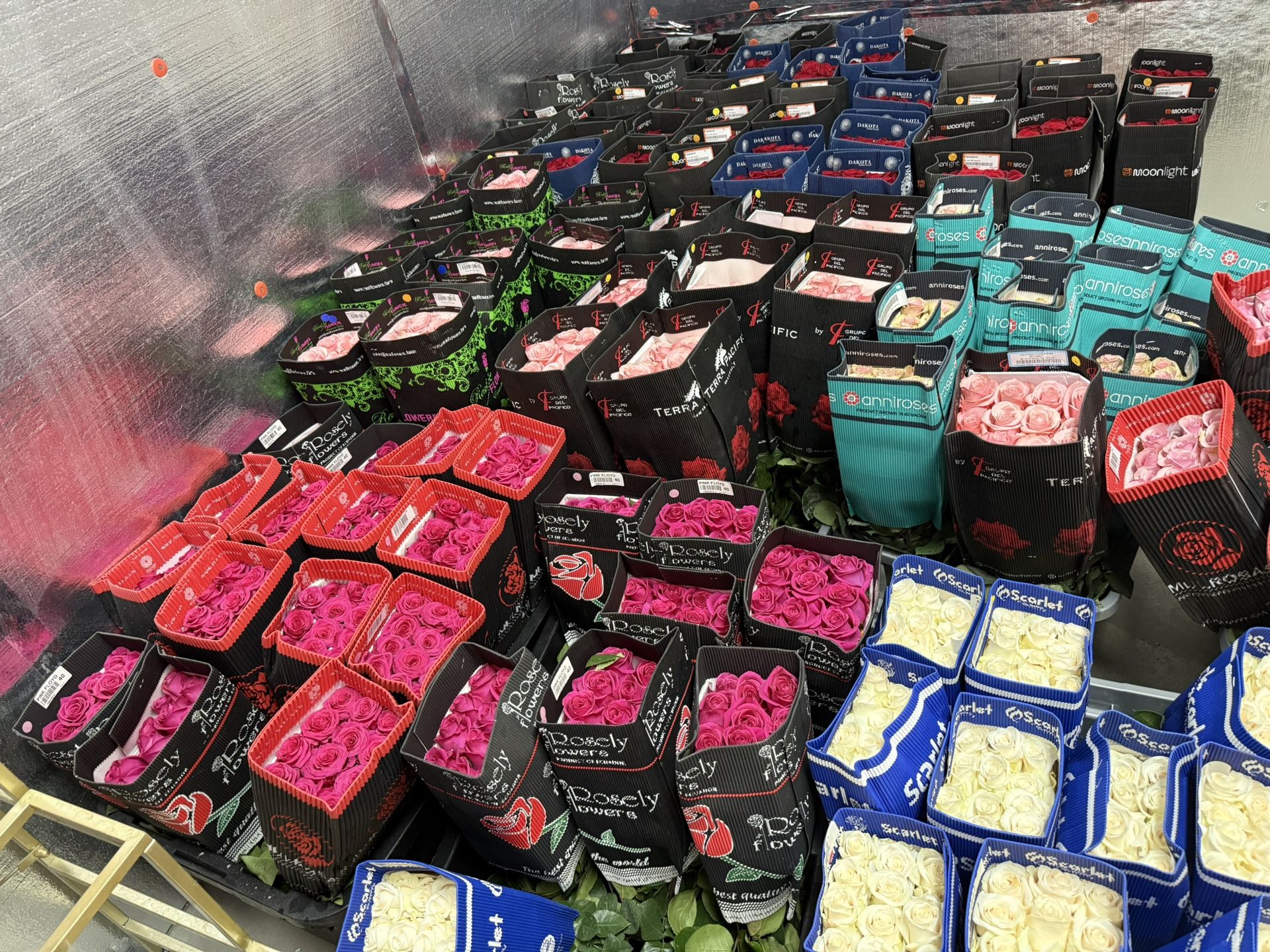 Wholesale Flowers Supplies