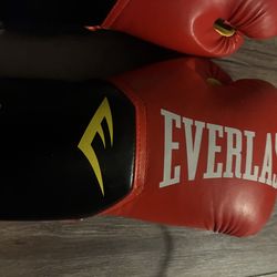 Medium ever last gloves