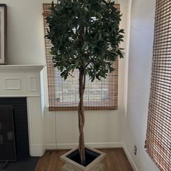 Artificial Faux 7 ft Ficus Topiary 🌳