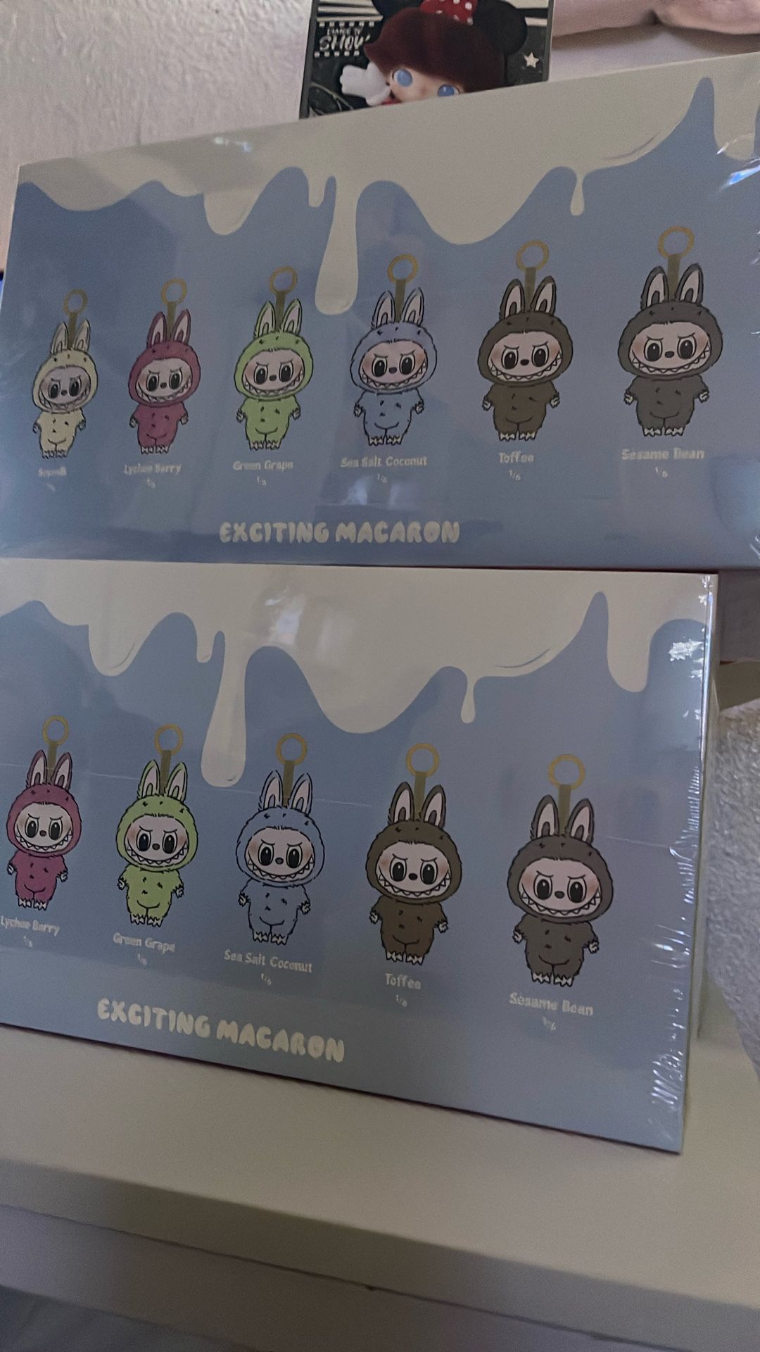 Labubu Macarom Box