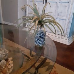 Faux Air Plant