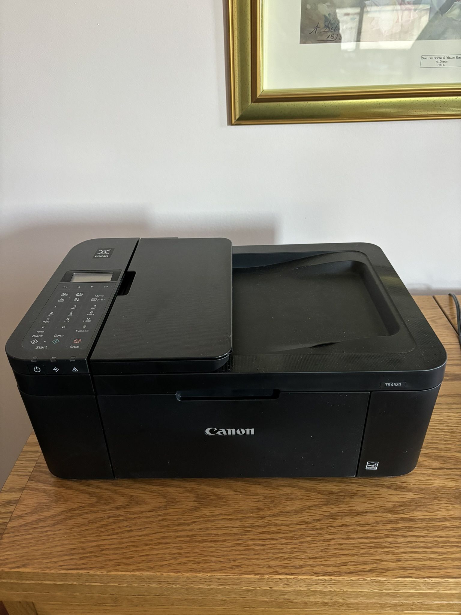 Canon Pixma TR4520