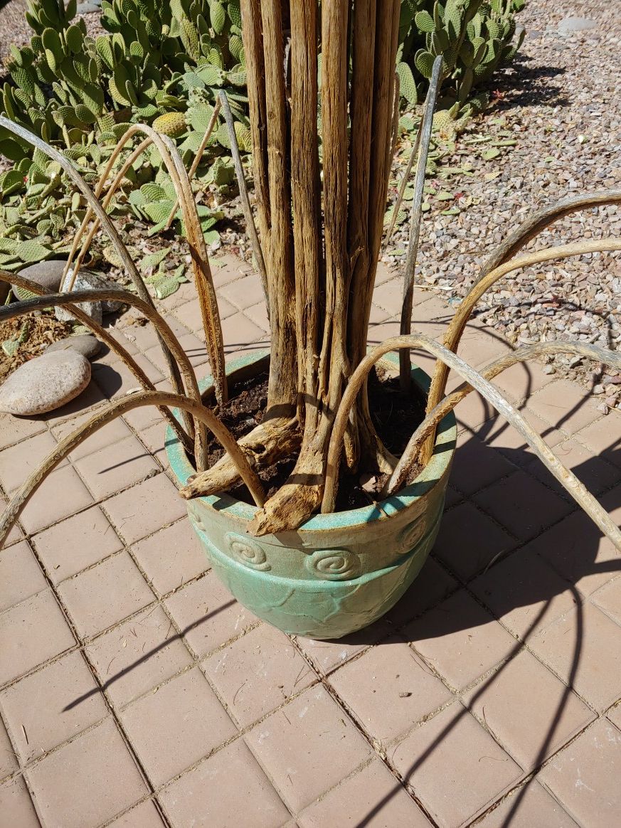 Saguaro Fountain