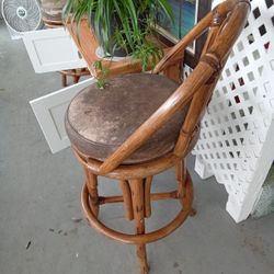 Plant  Table N Trunk 