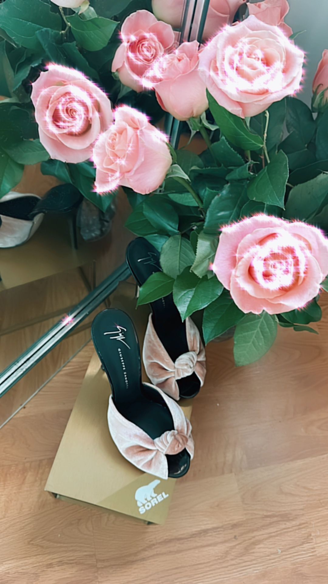 Giuseppe Zanotti Women Heels 