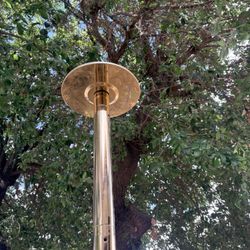 Gold Exercise Pole