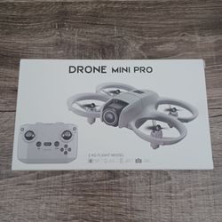 Drone Mini Pro 2.4G Flight Model