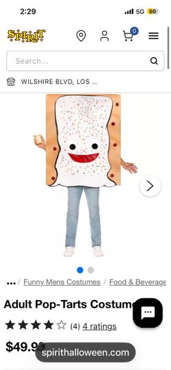 Adult Pop Tart Costume