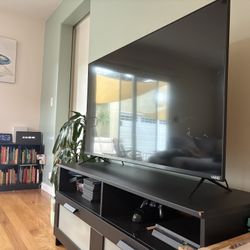 50 Inch Vizio TV