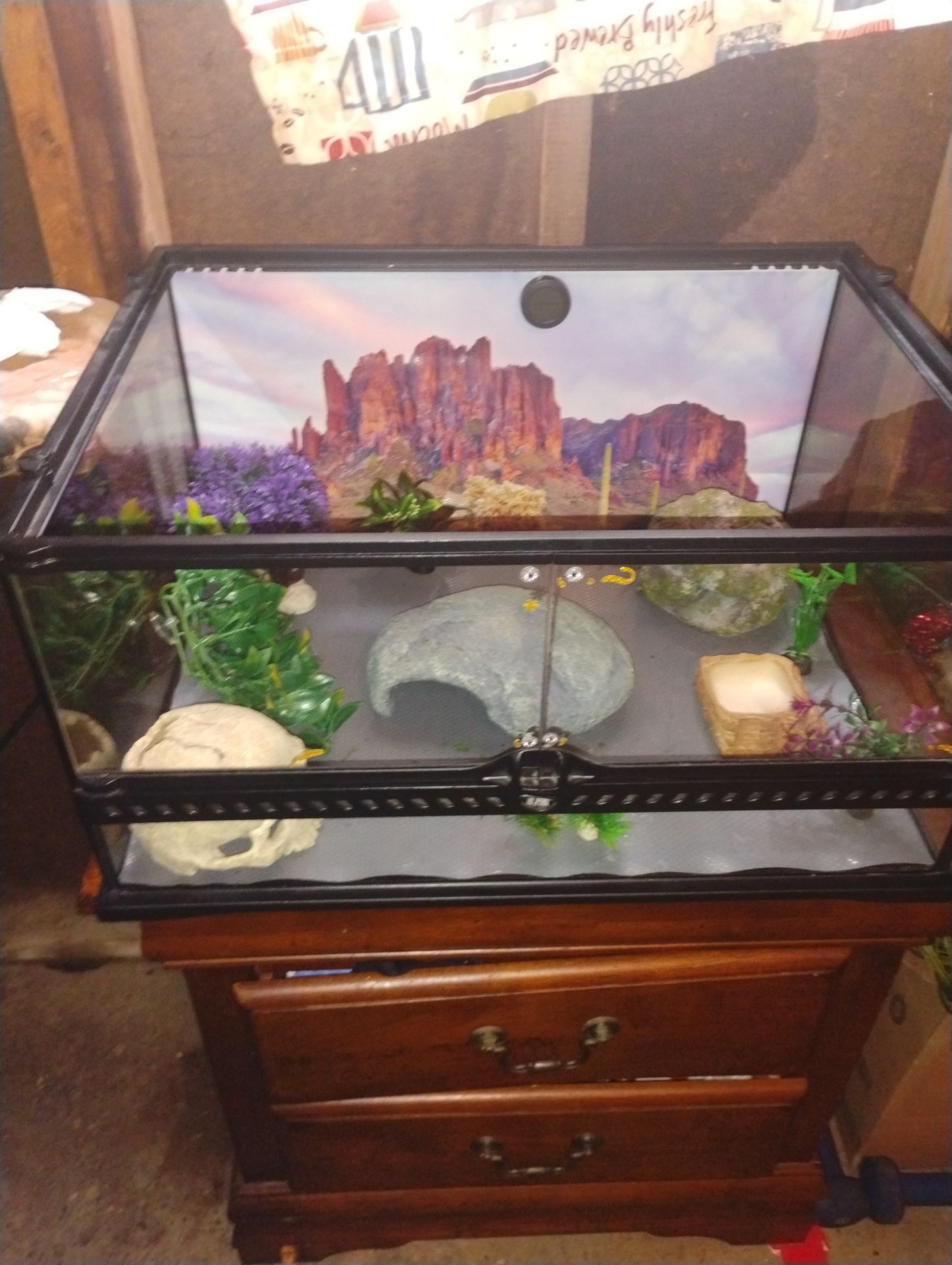 Xterra Terrarium